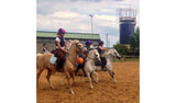 Buyagift One Hour Horse Riding Gift Experience Voucher