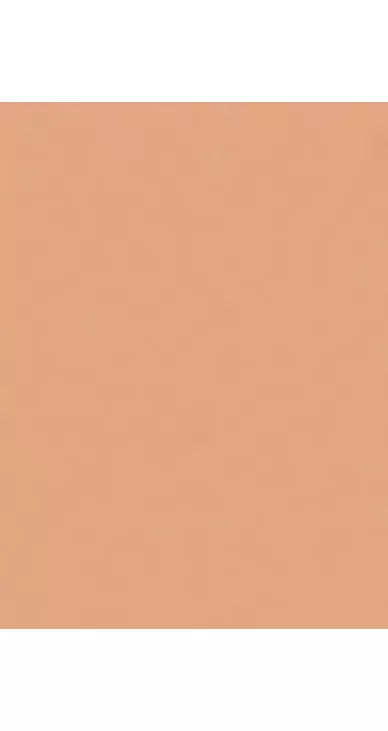 Trinny London BFF All Day Foundation - McGrocer