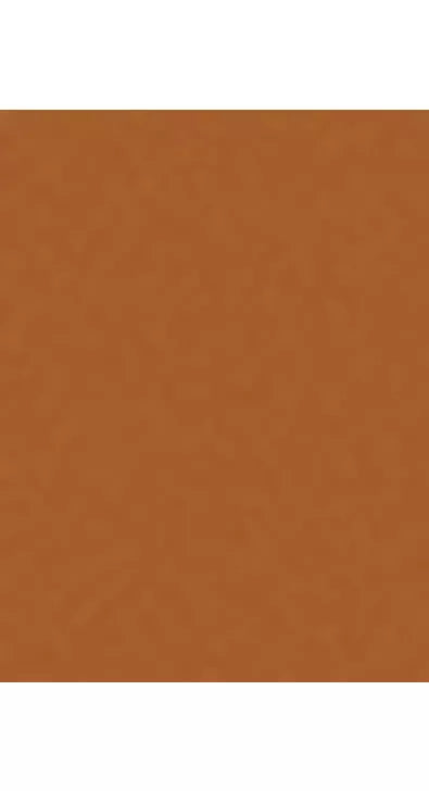 Trinny London BFF All Day Foundation - McGrocer