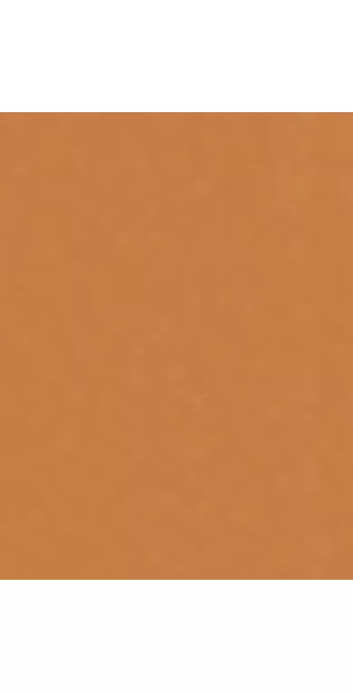 Trinny London BFF All Day Foundation - McGrocer