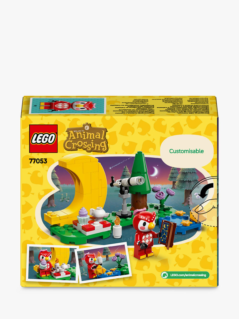 Animal Crossing stargazing building kit with Celeste minifigure, UK version