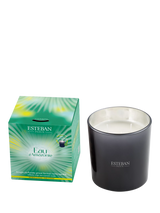 Esteban Eau d'Amazonie 3 Wick Scented Candle 450g