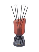Esteban Iconic Colour Teck & Tonka Reed Diffuser 250ml