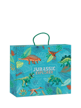 Janod Jurassic Explorer Creative Activity Set