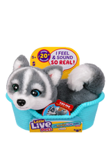 Little Live Pets My Really Real Puppy Mini Aurora Husky Toy
