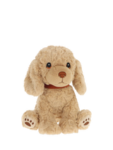 Cavapoo Sitting Soft Toy with Embroidered Detailing and Velvet Collar, 23cm
