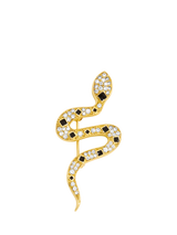 Crystal and Jet Snake Brooch, Gold Plated