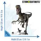 Star Cutouts Jurassic World Raptor Blue cardboard cutout 135x93x15cm (British brand)