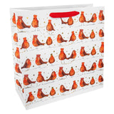 M&S Robin Large Square Gift Bag