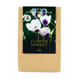 M&S Crocus Prince Claus