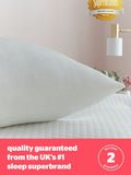 Silentnight Medium Squishy Velvet Touch Pillow (British brand)