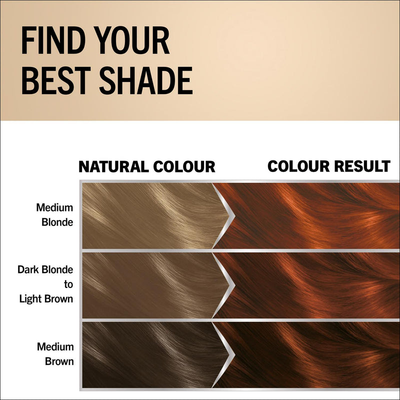 Permanent Hair Colour in Light Copper Brown Shade 5-77, Ammonia-Free with 4 Caring Oils