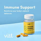 Vitl Immune Support Capsules 30 Count (British brand)