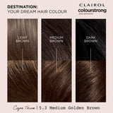 Permanent Hair Dye in Medium Golden Brown Shade 5.3 with Bonding Primer and Treatment
