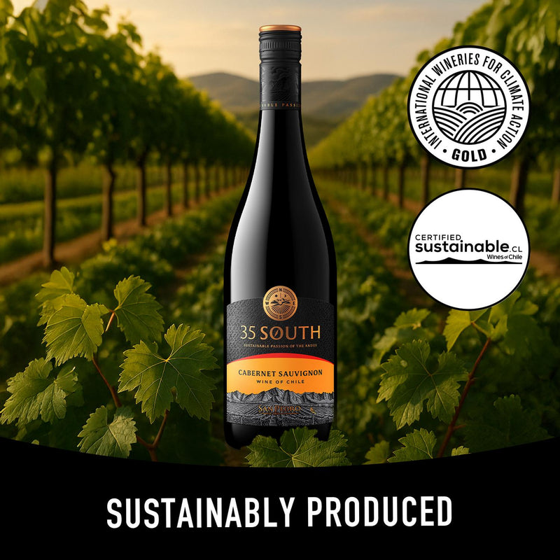 San Pedro 35 South Cabernet Sauvignon Red Wine 75cl