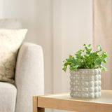 Habitat Stoneware Bobble Medium Planter for Desk Plants, UK version