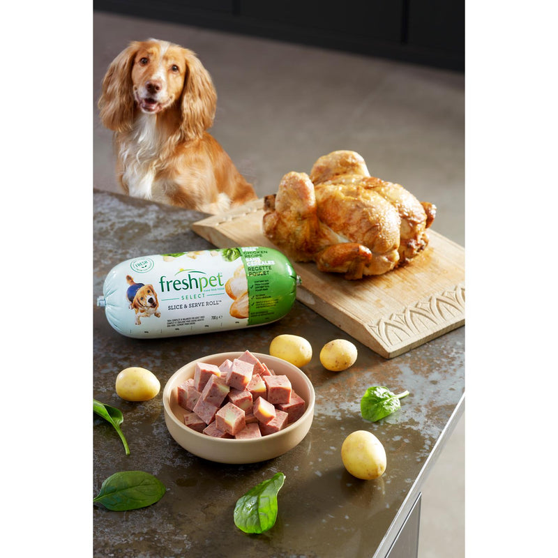 Freshpet Fresh Dog Food Chicken 700g - British product