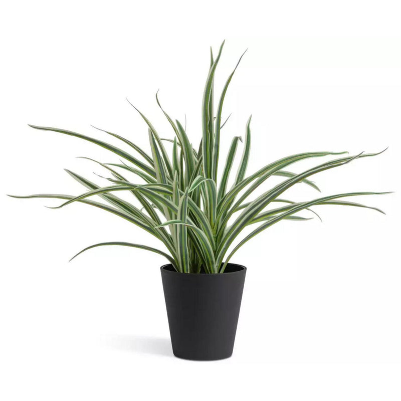 Sainsbury's Home Faux Spider Plant Green 38.1cm (British brand)