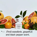 Refillable Natural Deodorant Set with Citrus Scent 40g