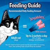 Felix Salmon Cat Treats Liquid 4x10g - British product