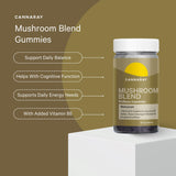 Mushroom Blend Wellness Gummies Blackcurrant Flavour 30 Count Vegan