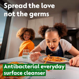 Dettol Lime & Mint antibacterial surface cleanser 750ml - British product