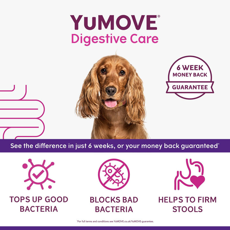 YuMove Digestive Care dog supplement tablets x60 (British brand)