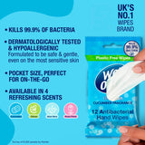 Wet Ones Fresh Antibacterial Hand Wipes 12 pack (British brand)