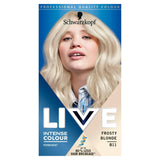 Permanent Frosty Blonde Hair Dye with Anti-Breakage Formula