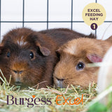 Burgess Excel hay with meadow flowers 500g - British product
