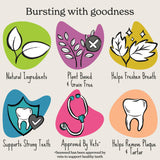 Forthglade dental sticks x5 pack 170g - British product