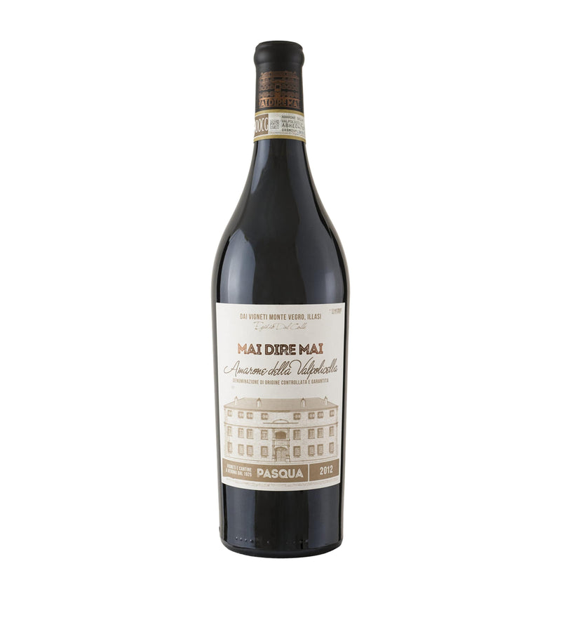 Pasqua Amarone della Valpolicella DOCG 2013 red wine 75cl, imported from the UK