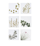 Summerill & Bishop gastronomic herb garden linen napkins 50cm x 50cm (British brand)