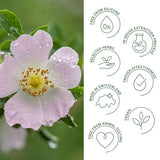 Rausch colour-protecting conditioner wild rose 150ml, imported from the UK