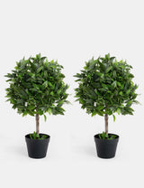 Blooma Set of 2 Artificial Bay Bush Ball Trees