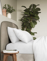 Pure Cotton 300 Thread Count Pillowcases 2 Pack