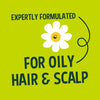 Faith In Nature Conditioner for Oily Hair Seaweed & Citrus 5L
