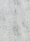 Designers Guild Jardin Des Plantes Michaux Paste The Wall Wallpaper - Zinc Pdg716 06