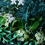 Molton Brown body lotion Coastal Cypress & Sea Fennel 300ml, imported from the UK