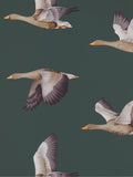 Sanderson Elysian Geese wallpaper (British brand)