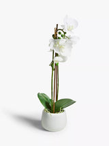 John Lewis Large White Artificial Orchid Decorative Plant
