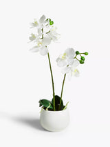 John Lewis Artificial Small White Orchid in Ceramic Pot Artificial Plant