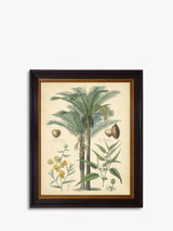 Brookpace Lascelles Fruitful Palm I Framed Print 51 x 41cm Green