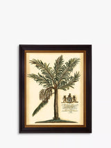 Brookpace Lascelles Fruitful Palm III Green Framed Photo Print 51 x 41cm