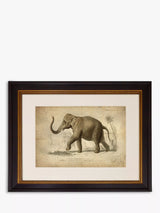 Brookpace Lascelles Elephant Grey Framed Print and Mount Photo Frame 46 x 55cm