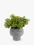 John Lewis artificial eucalyptus bush in stone planter, UK version