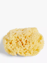 John Lewis Baby Bathing Natural Sponge 10cm