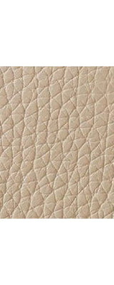 Mulberry Mini Alexa Heavy Grain Leather Cross Body Bag