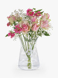 Dartington Crystal Bloom Cosmos clear vase H21cm - British product