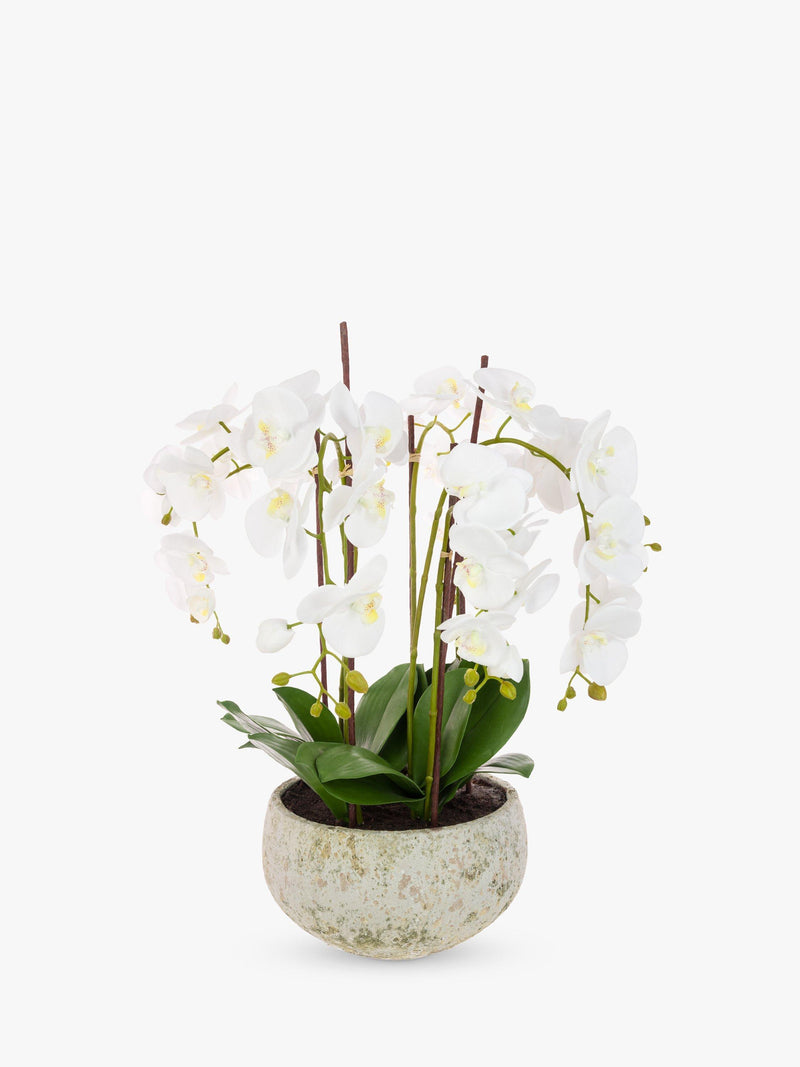 Floralsilk artificial white orchid in clay pot - British product